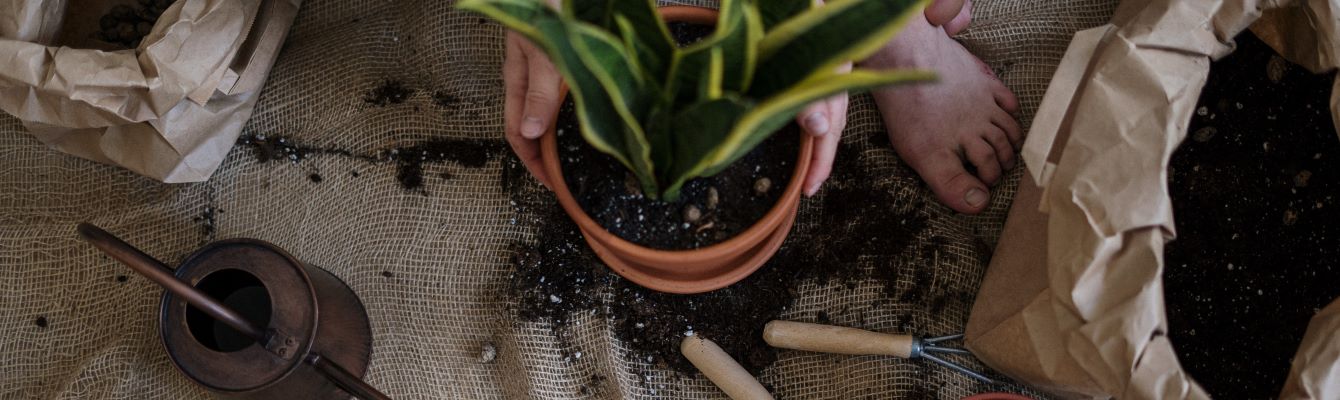 Why Use Affiliate Marketing for Home & Garden