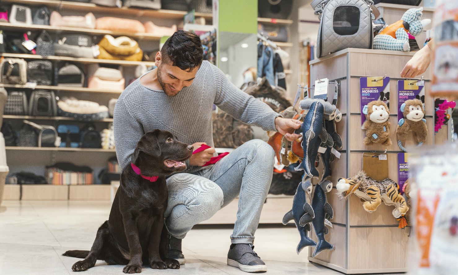 20 best pet affiliate programs for 2025