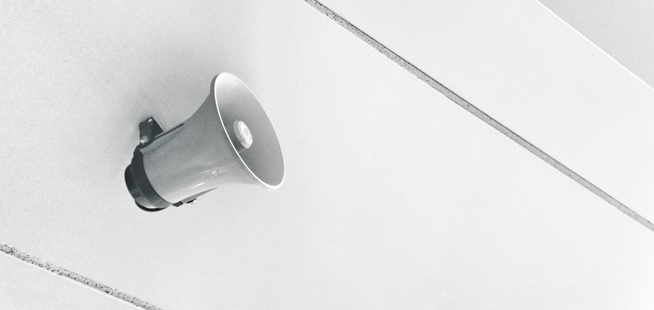How to Promote a B2B Affiliate Program in 2025 [on no budget]